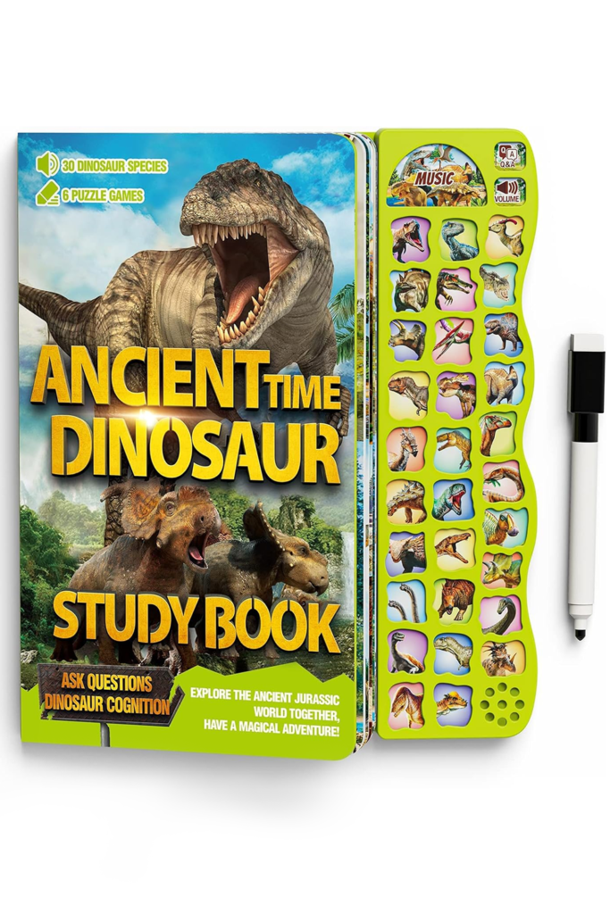 Educational Dinosaur Toys