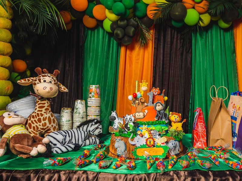 safari birthday decor